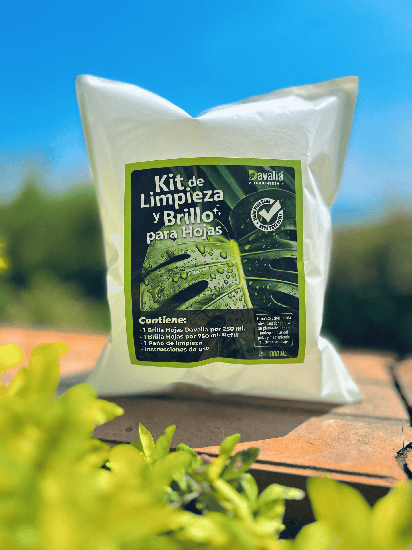 KIT BRILLA HOJASl