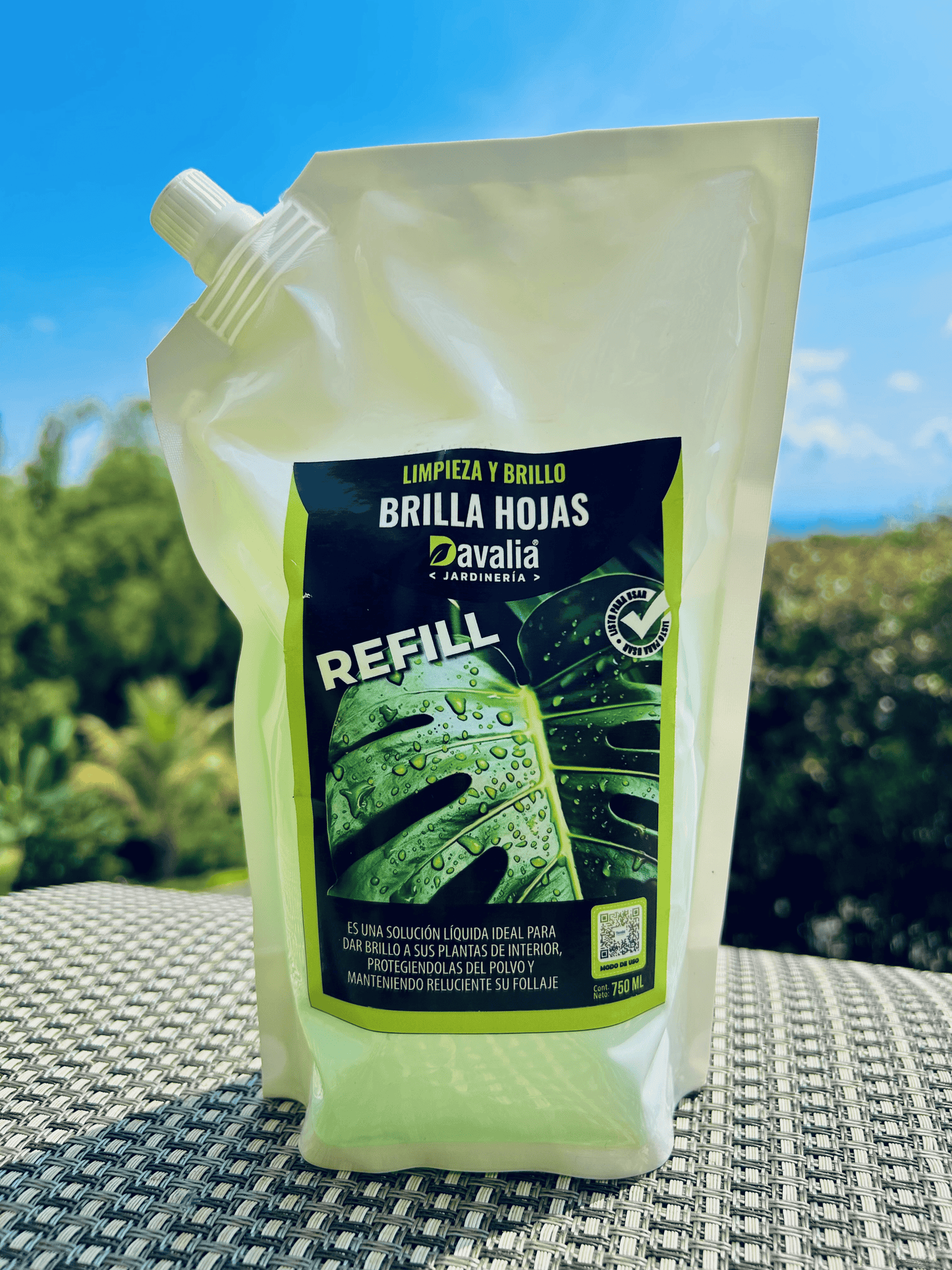 KIT BRILLA HOJASl